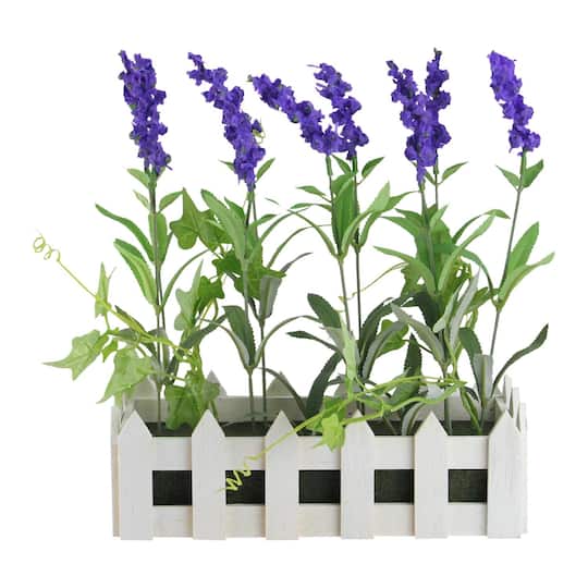 11.75&#x22; Lavender Plant in White Picket Fence Container
